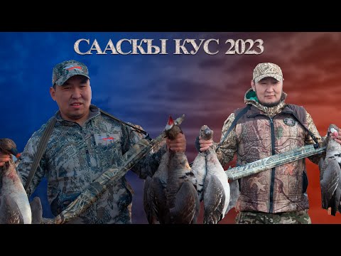 Видео: Весенняя охота на уток - 2023  1 часть (Spring duck hunting)