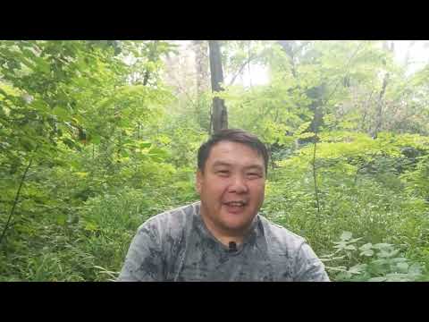 Видео: к чему готовят народ Казахстана