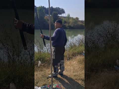 Видео: 8 октября 2025 г.