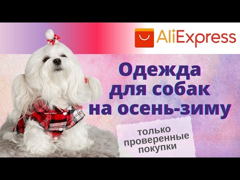 Видео: ALIEXPRESS: качественная одежда для собак  на осень/зиму.