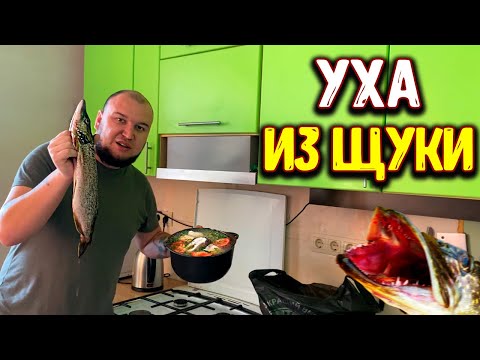 Видео: ПРИГОТОВИЛИ УХУ из ЩУКИ / Домашний Влог