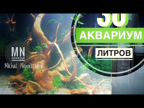 Видео: Акваскейп. Кубик 30 литров.