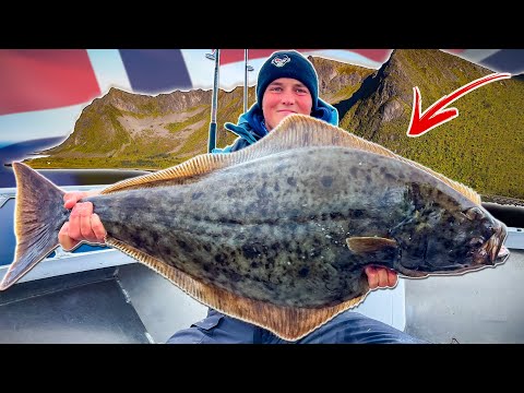 Видео: ЛОВИМ РАЗНУЮ МОРСКУЮ  РЫБУ НА СЕВЕРЕ НОРВЕГИИ| Team Galant