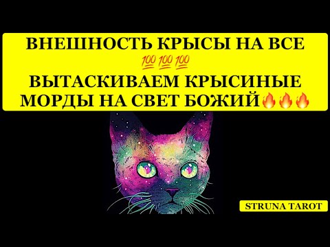 Видео: 🔥ВНЕШНОСТЬ КРЫСЫ НА ВСЕ💯ВЫТАСКИВАЕМ КРЫСИНЫЕ МОРДЫ НА СВЕТ БОЖИЙ🔥🔥🔥