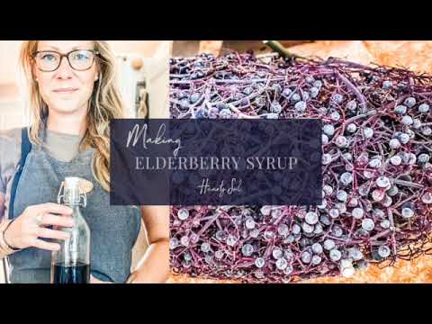 Видео: Как приготовить сироп из свежих ягод бузины | Натуральный иммуностимулятор | Сбор бузины