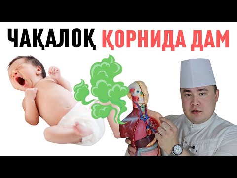 Видео: ЧАҚАЛОҚ ҚОРНИ ДАМ БЎЛСА НИМА ҚИЛИШ ВА АСЛО ҚИЛМАЛСИК КЕРАК БАФУРЖА, ИСЧАНОВДАН ТИЛЛА МАСЛАҲАТЛАР!