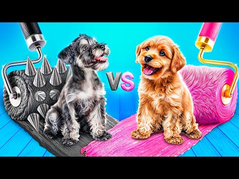 Видео: Домики для животных одного цвета челлендж! Розовый vs черный