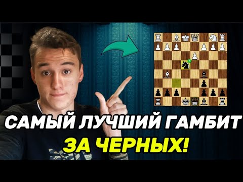 Видео: ЛУЧШИЙ ГАМБИТ ЗА ЧЕРНЫХ?! ГАМБИТ СТАФФОРДА!