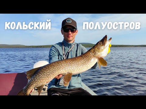Видео: Кольский! Река полна кумж! Озерная щука и кумжа с Active Target.  Часть 4.