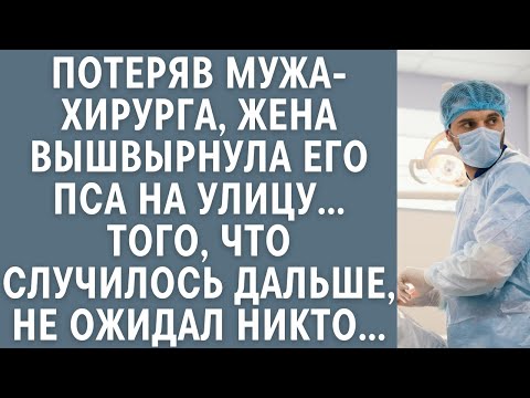 Видео: Потеряв мужа-хирурга, жена вышвырнула его пса на улицу… Того, что случилось дальше, не ожидал никто…