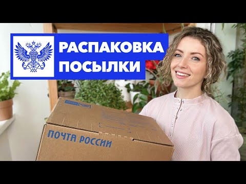 Видео: Распаковка посылки с растениями » Эписции, традесканция, филодендрон