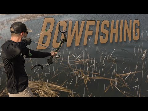 Видео: Икра карпа | Самый большой карп, которого мы когда-либо ДОБЫЛИ!!