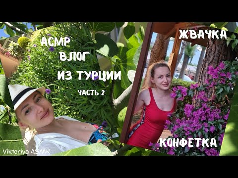 Видео: АСМР влог из Турции, ЧАСТЬ 2, жвачка АСМР, шёпот, ЧАВКАНЬЕ, конфетка, ALVA DONNA WORLD PALACE 2021