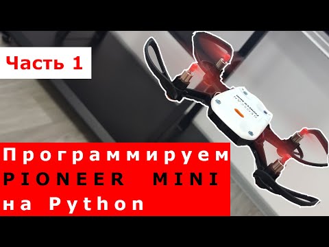 Видео: Программируем Pioneer Mini на Python | Часть 1, настройка.