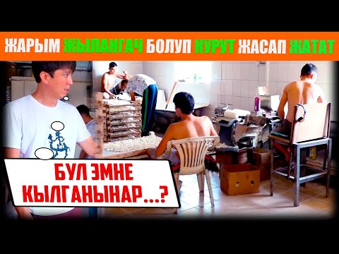 Видео: Жарым жыланач болуп КУРУТ жасап жатышат...😡 / НЕ САХАР