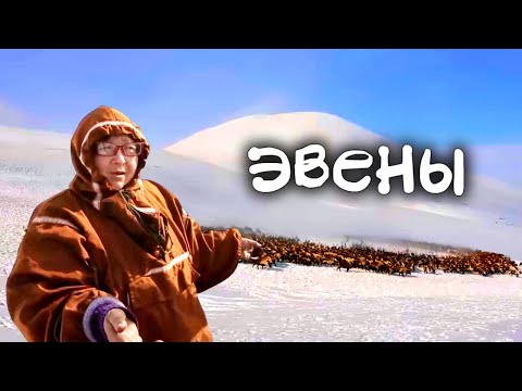 Видео: Как живут оленные люди ЭВЕНЫ