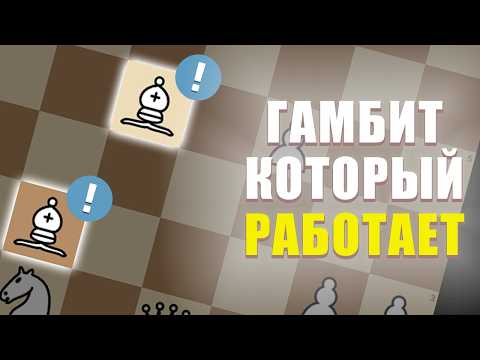 Видео: САМЫЙ ПРАВИЛЬНЫЙ ГАМБИТ В ШАХМАТАХ | Северный гамбит