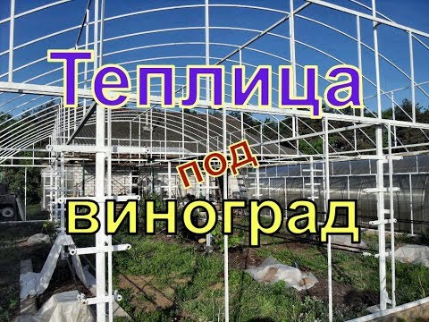 Видео: Виноград . Металлическая теплица для винограда.