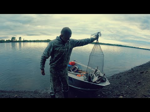 Видео: ДОНКИ Крокодил! ПОКЛЁВКА за ПОКЛЁВКОЙ! Щука откусила поводок 😮