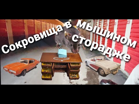 Видео: Сокровища в мышином сторадже