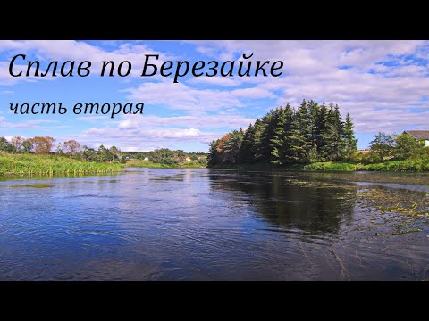 Видео: Березайка 2