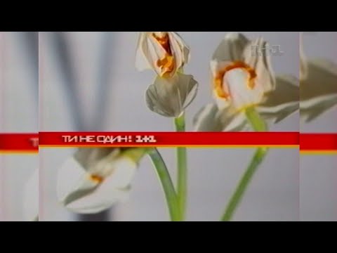 Видео: 1+1, Анонси [09.07.2006]