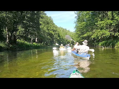 Видео: Сплав по реке Ушна