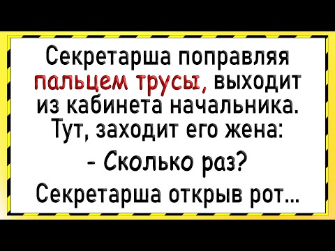 Видео: Как жена застукала мужа и секретаршу! Сборник свежих анекдотов! Юмор!