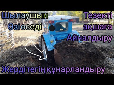 Видео: Жерді көң төгу арқылы құнарландырдық.Мал тезегің тиімді пайдалану.Шылаушын бақшанда өзі өседі