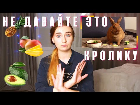 Видео: Чем НЕЛЬЗЯ КОРМИТЬ декоративных КРОЛИКОВ? ЧТО ВРЕДНО ДЛЯ КРОЛИКОВ! ЯДОВИТЫЕ РАСТЕНИЯ ДЛЯ КРОЛИКОВ!