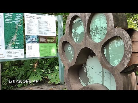 Видео: Кравцовские водопады & Прогулка / Cascade of Waterfalls