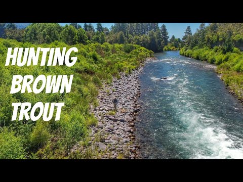 Видео: ЛОВЛЯ РЫБЫ НАХЛЫСТОМ в реке Кристально Чистая [Новая Зеландия]