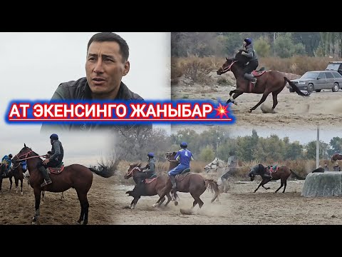 Видео: Рустамдын жаны аты Эр Тайлак. мүчөлү Пегаска жүгүргөнү Комбатка окшош экен 💥💥💥