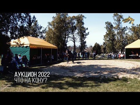 Видео: PRO_Событие. Аукцион в конном заводе "Восход". 24 апреля 2022 года. 17:30