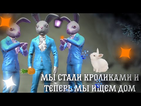 Видео: МЫ СТАЛИ КРОЛИКАМИ И ТЕПЕРЬ МЫ ИЩЕМ ДОМ