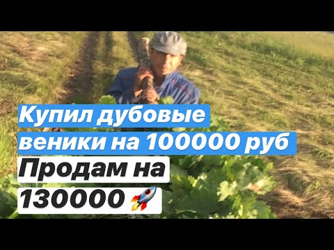 Видео: Дубовые веники|Купил дуб на 100000 р Рублей| бизнес на вениках