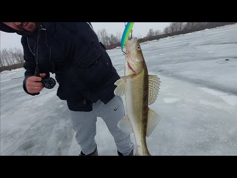 Видео: ЛЁД ВСЁ! КРАЙНЯЯ РЫБАЛКА ПО ЛЬДИНАМ!   СУДАК ОПЯТЬ НЕ АКТИВЕН!