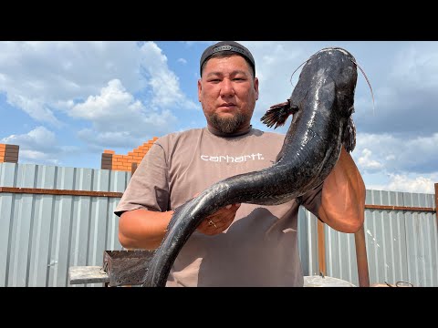 Видео: Копченый сом