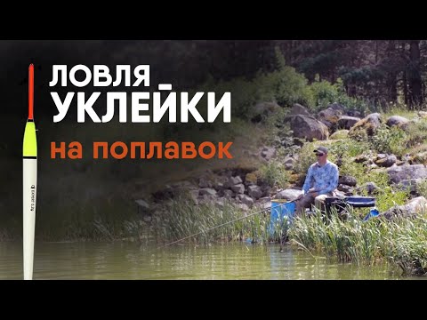 Видео: Ловля уклейки на маховую удочку! + Рецепт приготовления!