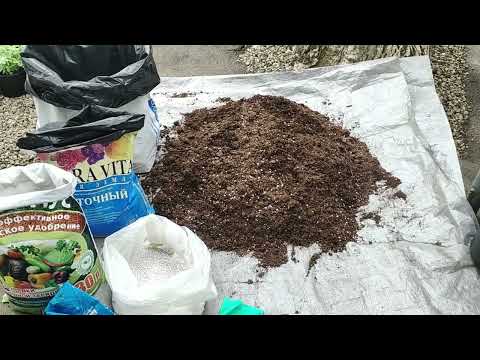 Видео: Готовим супер-грунт для петунии который даст МЕГА результат!