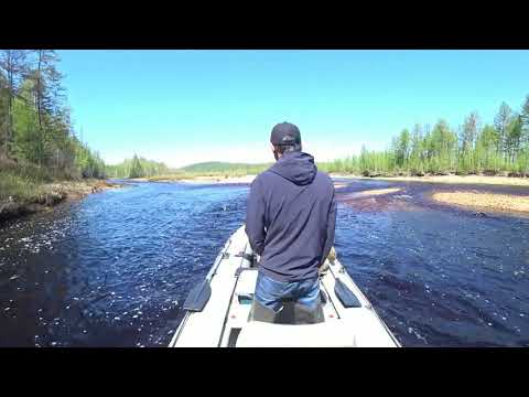 Видео: Солар 450 с водометом от гидроцикла