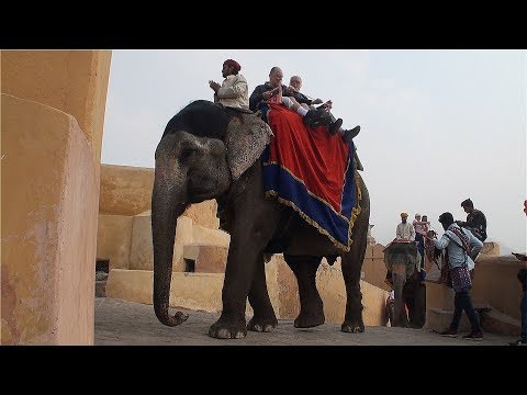 Видео: Амбер Форт.Индия. Work in progress.