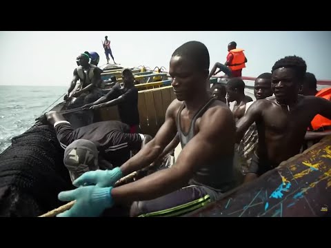 Видео: Самые опасные дороги мира - Сенегал: в грязь