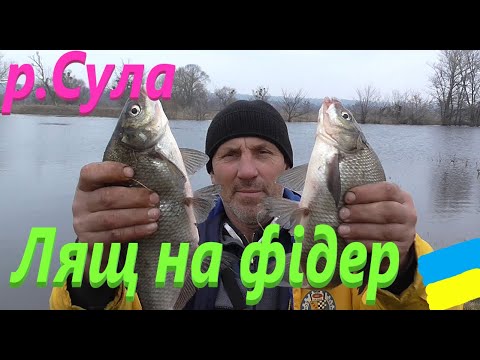 Видео: #Сула # Лящ на фідер #РибачуЯкУмію