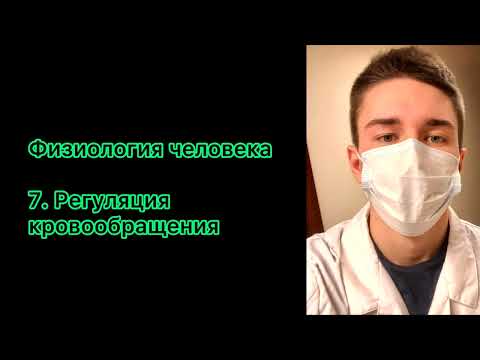 Видео: Лекция 7. Регуляция кровообращения. Нормальная физиология.
