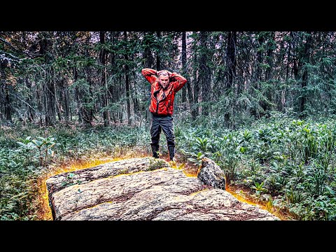 Видео: НАШЕЛ В ЛЕСУ НЕОБЪЯСНИМОЕ И НАЧАЛОСЬ! ТАЙНА В ТАЙГЕ - НАХОДКА СЕНСАЦИЯ