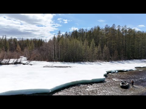 Видео: К истокам Селемджи