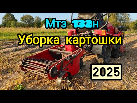 Видео: Мтз 132н Уборка Картошки 2025