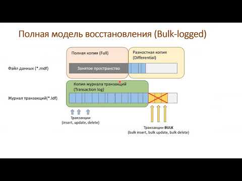 Видео: 6.5 Виды резервных копий