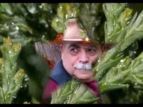 Видео: Песня "Самаркандские дворы"